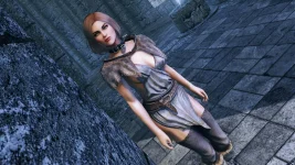 The Elder Scrolls 5 Skyrim Oyunu TechForum_TR (73).webp