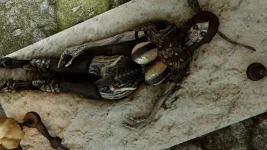 The Elder Scrolls 5 Skyrim Oyunu TechForum_TR (94).webp