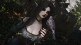 The Elder Scrolls 5 Skyrim Oyunu TechForum_TR (110).webp