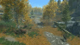 The Elder Scrolls 5 Skyrim Oyunu TechForum_TR (170).webp