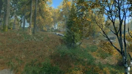 The Elder Scrolls 5 Skyrim Oyunu TechForum_TR (171).webp