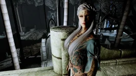 The Elder Scrolls 5 Skyrim Oyunu TechForum_TR (209).webp