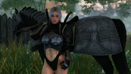 The Elder Scrolls 5 Skyrim Oyunu TechForum_TR (217).webp