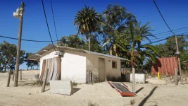 GTA5-NaturalVision modu-TechforumTR (4).webp