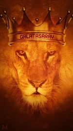 aslan.webp