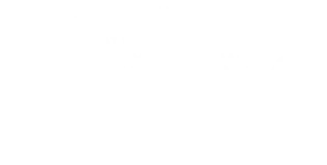 Hollow Knight Silksong TechForumTR (7).webp