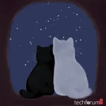 Erkekler, sizce romantik olan nedir.webp