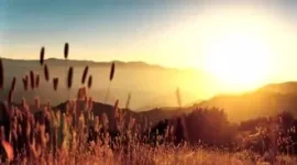 Watch Dogs Legion TechForumTR (20).webp