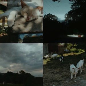 Varolmayan bir filmden kareler