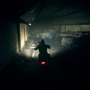 Days Gone Delights4.webp