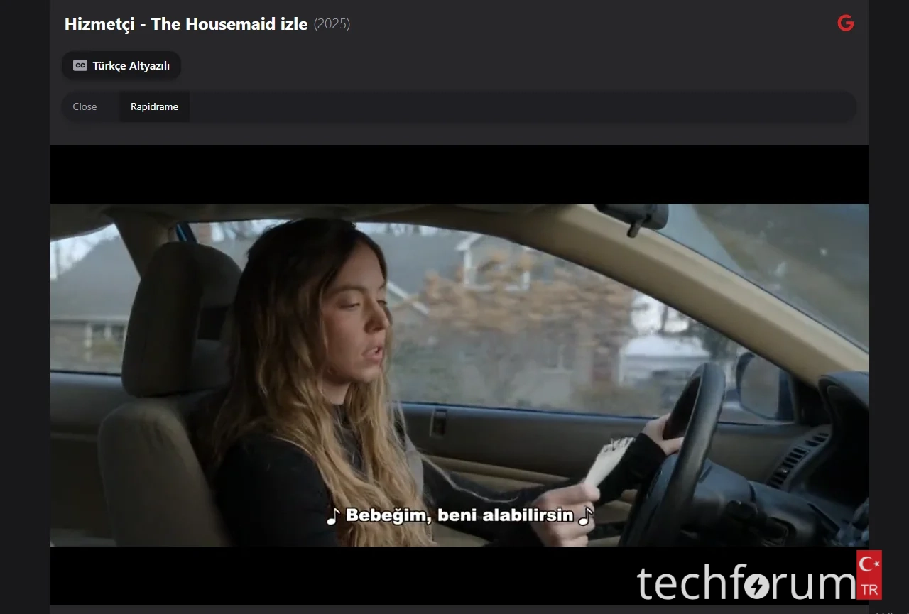 Hizmetçi - The Housemaid