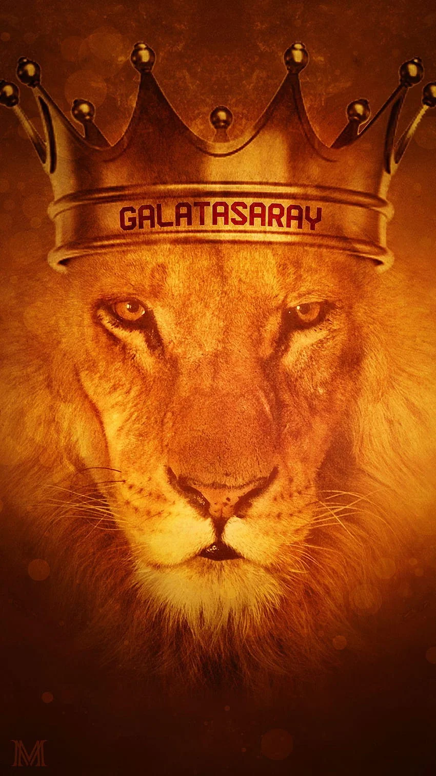 aslan.webp