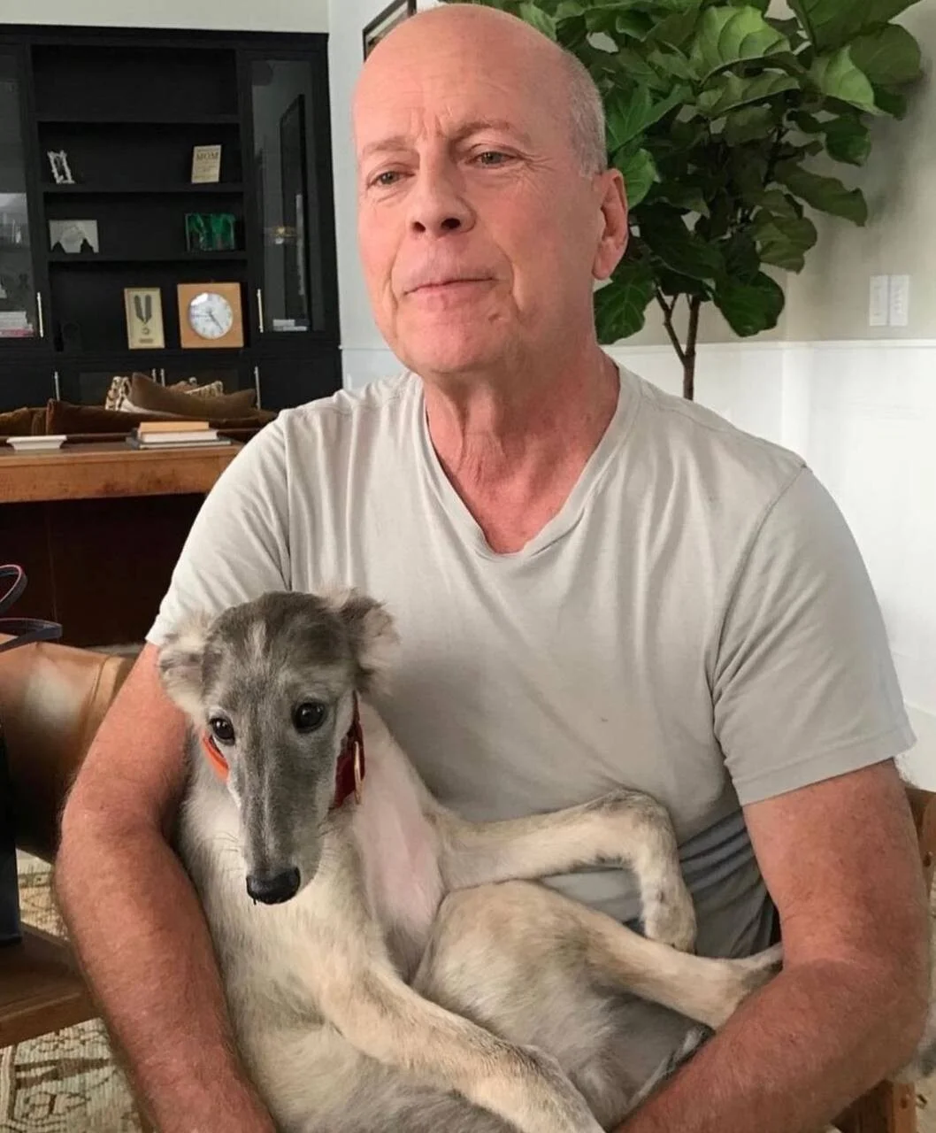 Bruce Willis.webp