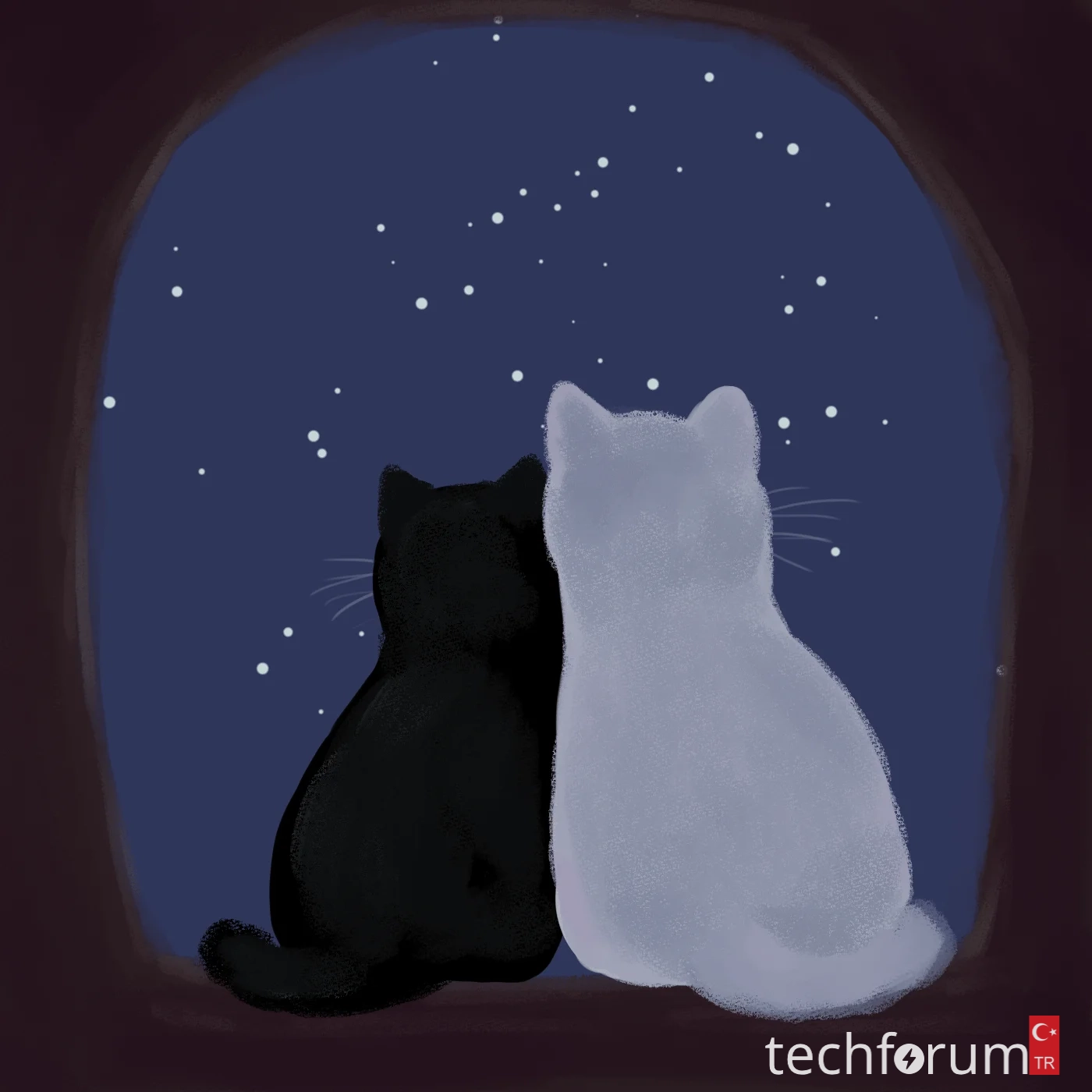 Erkekler, sizce romantik olan nedir.webp