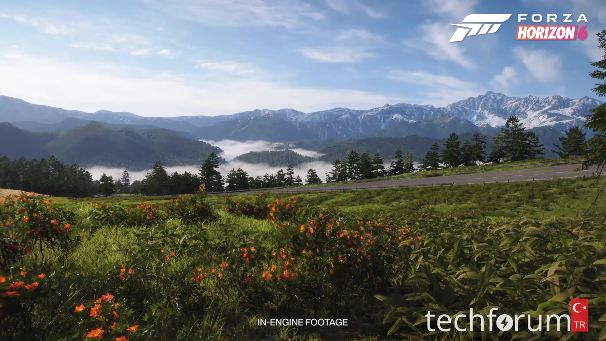 Forza Horizon 6 haritası hakkında ne düşünüyorsunuz3.webp