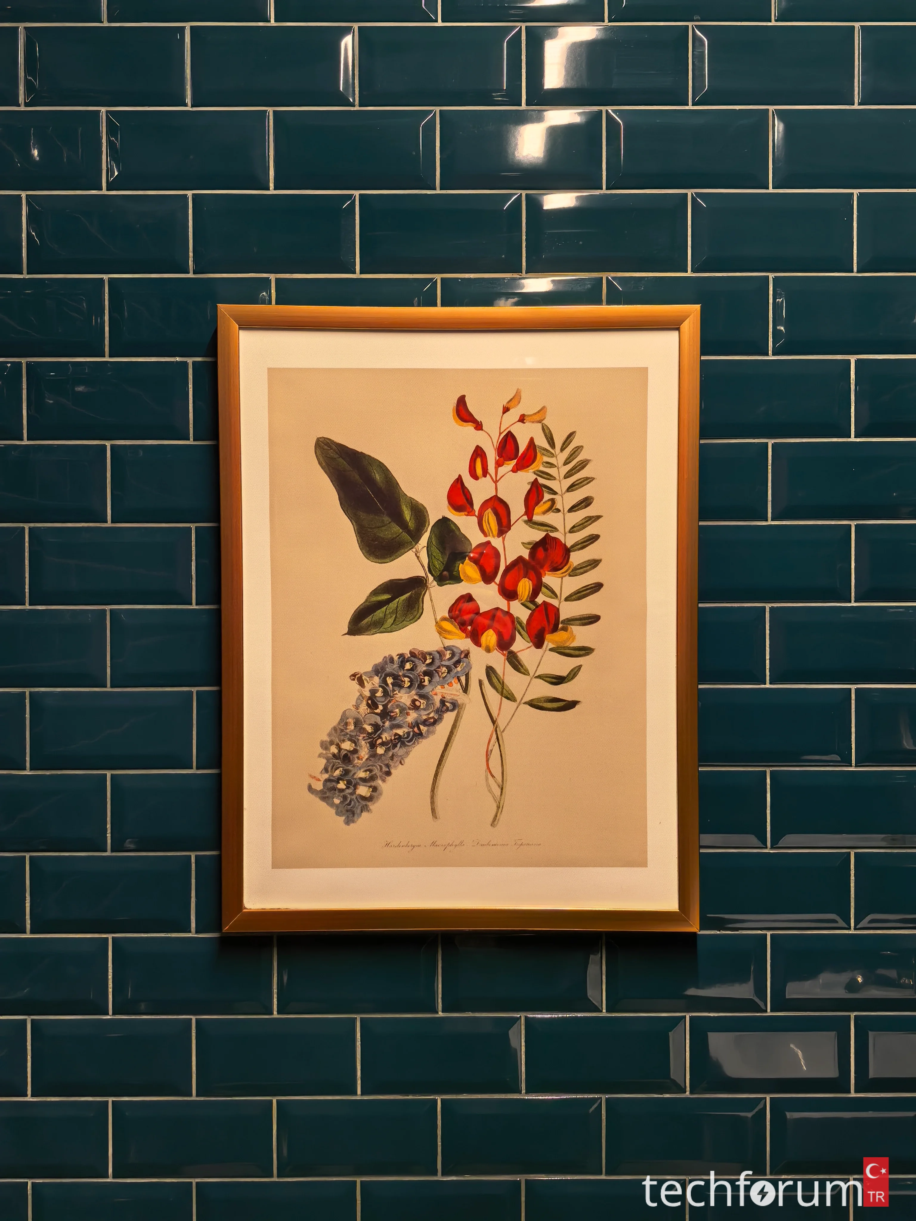 HUAWEI Mate 80 Pro Akıllı Telefon İncelemesi TechForumTR CyberTurk (10).webp