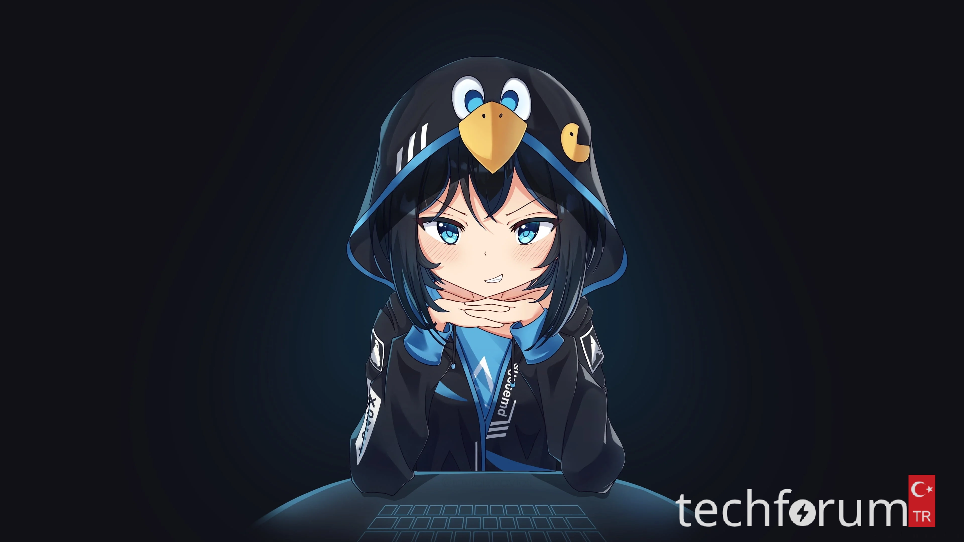 Linux oyuncusu olmak nasıl bir şey.webp