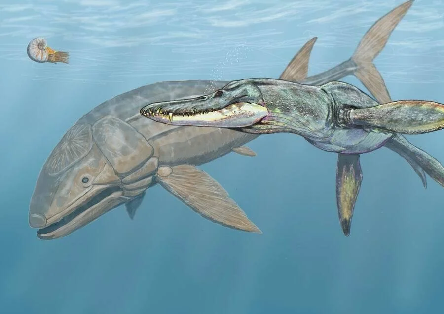 Liopleurodon Jurassic Denizlerinden Kertenkele.webp