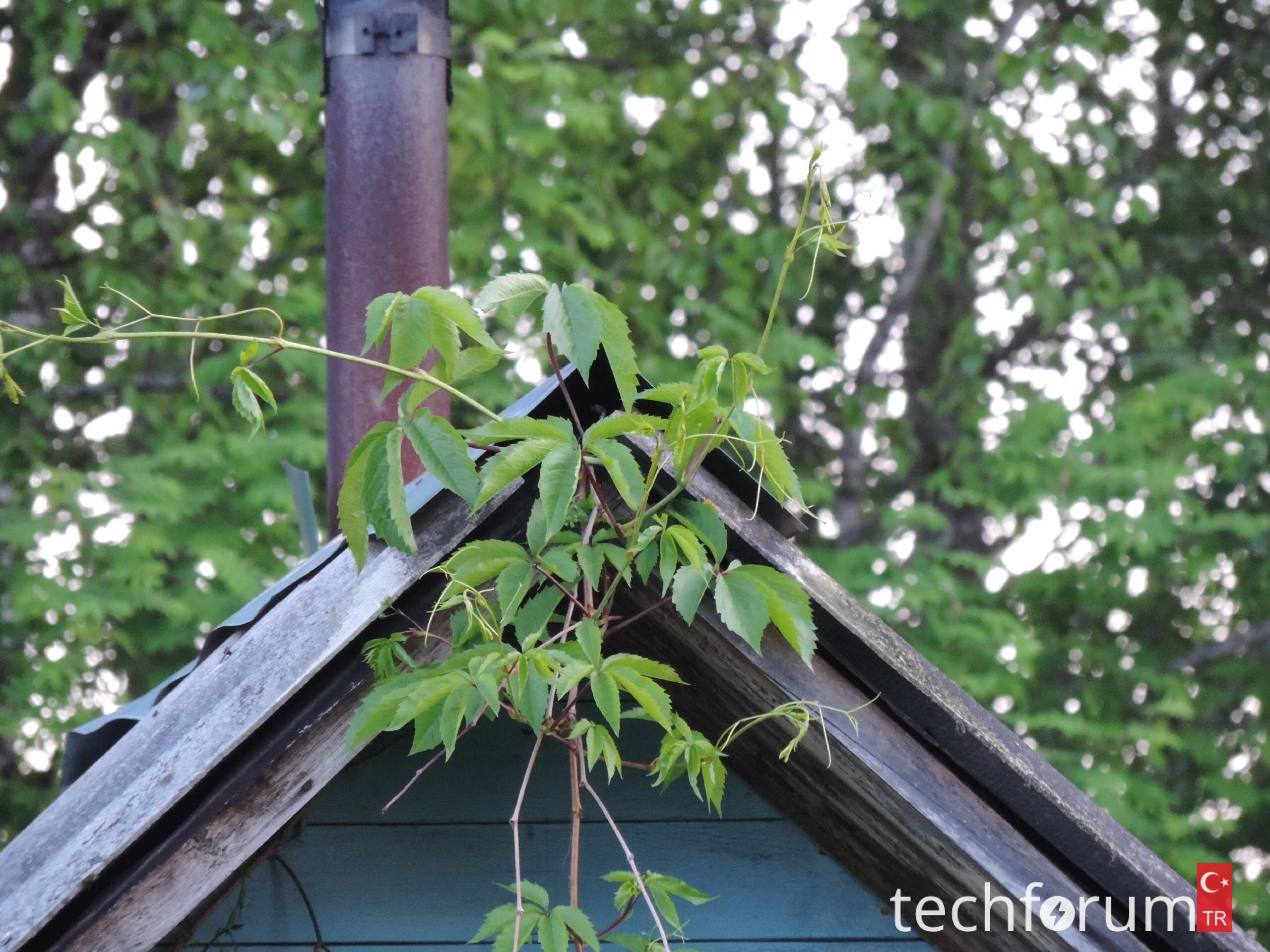 Mobil fotoğrafçılık.webp