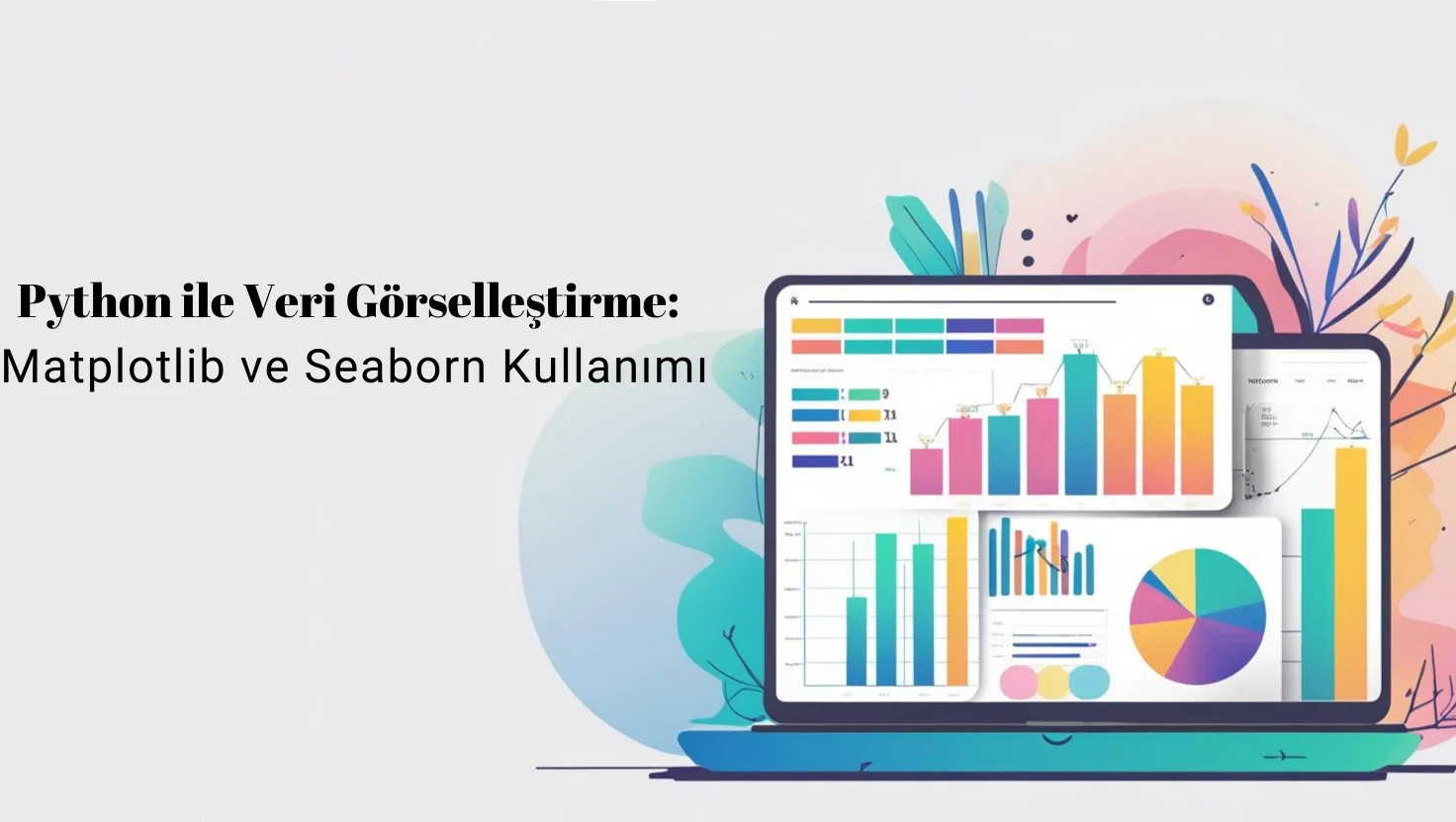 Python ile Veri Görselleştirme Matplotlib ve Seaborn Kullanımı.webp