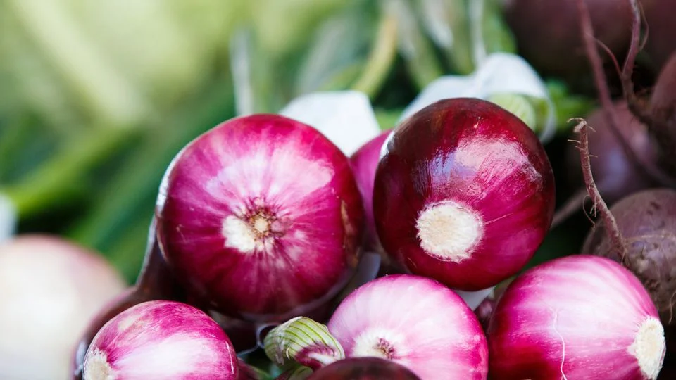 red-onion-dyed-films-offer-999-uv-protection-for-solar-cells-397439-960x540.webp