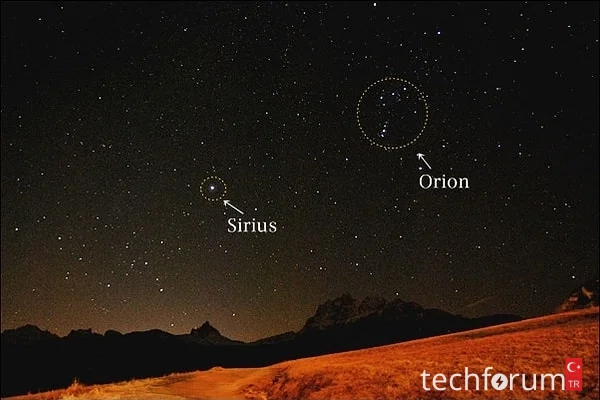 s-c43339b00747d34d2b2a7eef283e67a90c6b6e29 (1).webp