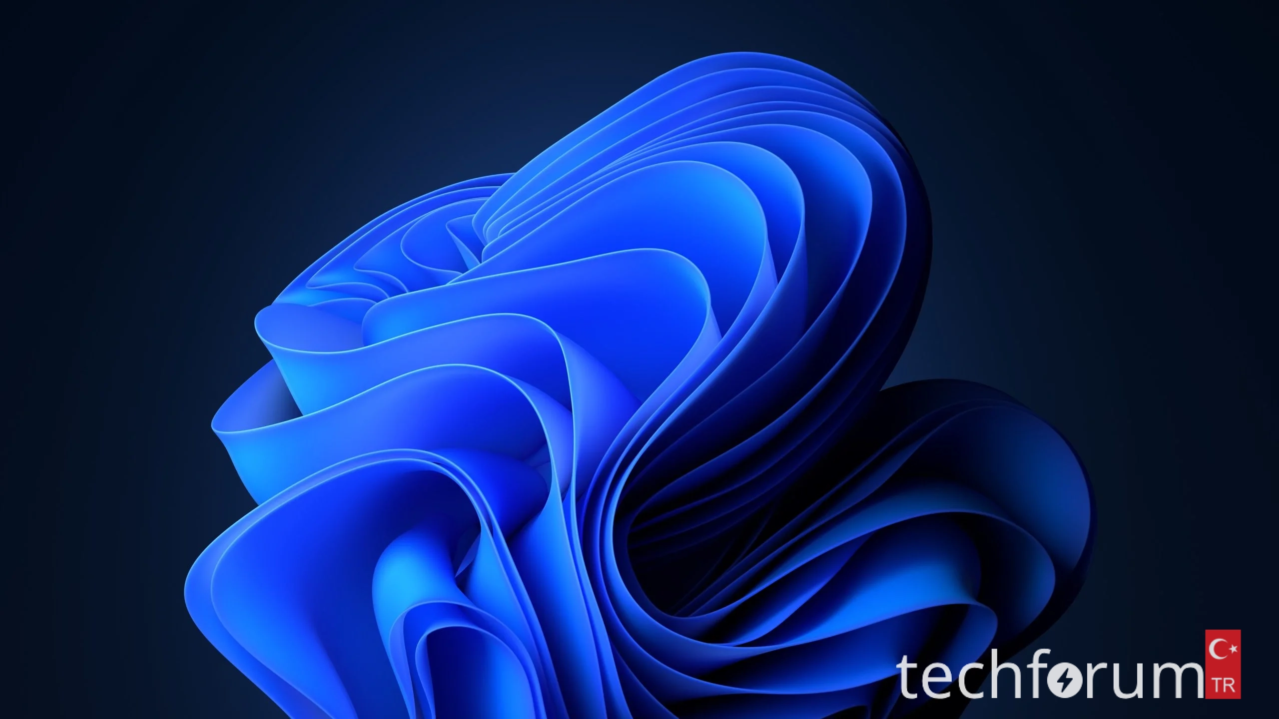 Windows-11-Bloom-Screensaver-Dark-scaled.webp