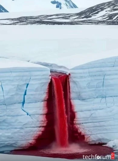 Antarktika’nın beyaz sessizliği