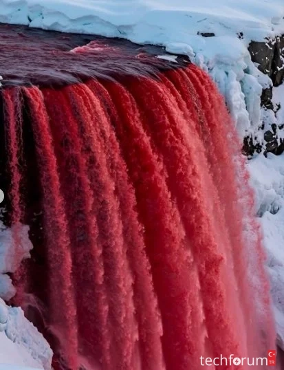 Antarktika’nın beyaz sessizliğinde