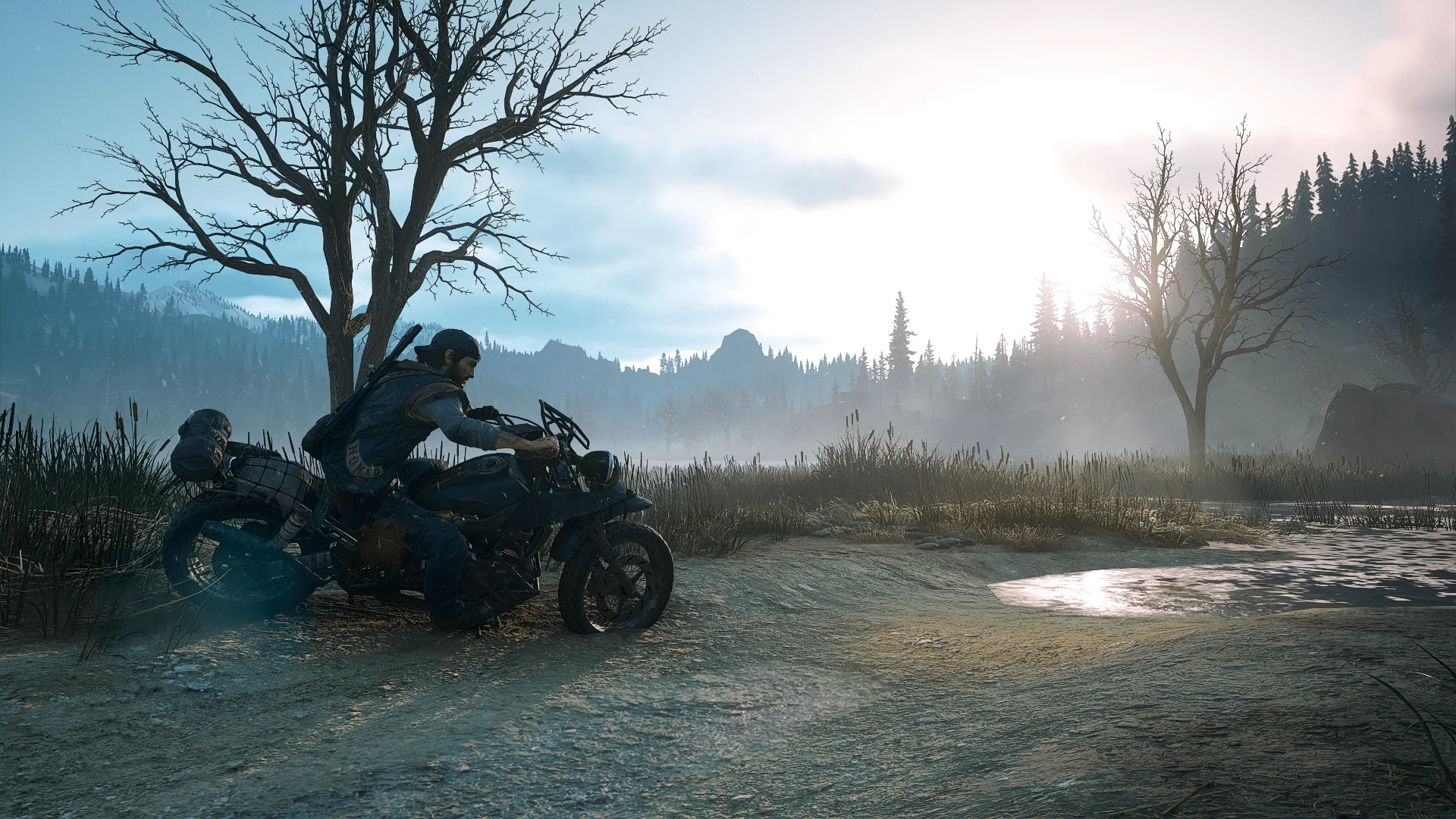 Days Gone Delights9.webp